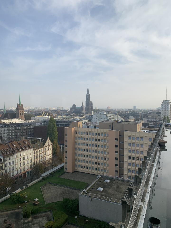 Bureau Strasbourg 339m² Location bureau Strasbourg Bas-Rhin OLBUR2530674 4